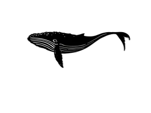 A laser-cut steel silhouette of a humpback whale, painted black, featuring detailed cuts to accentuate the whale's body and fins. The design includes a sturdy bracket for wall mounting and showcases the whale's iconic shape and form, with intricate details along the body and tail. Displayed on a white background.